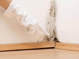 Best Mold Remediation for Healthcare Facilities  in Ganado, TX